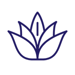 icône de la plante