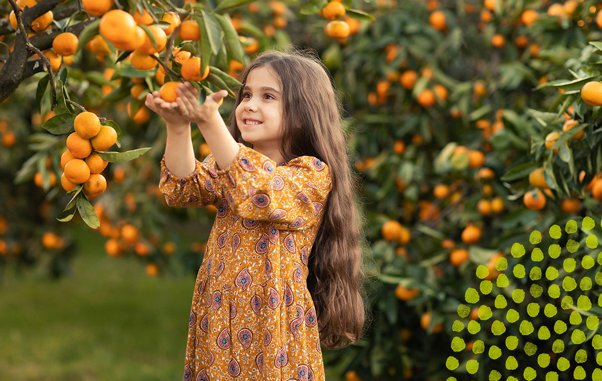 Fruitsap van clementines: een bom van vitamine C